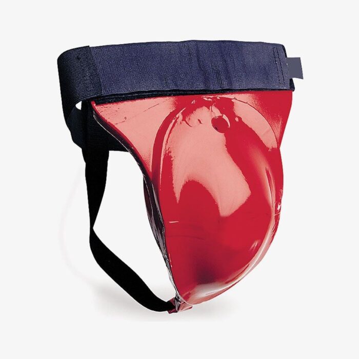 Groin / Abdominal Guard