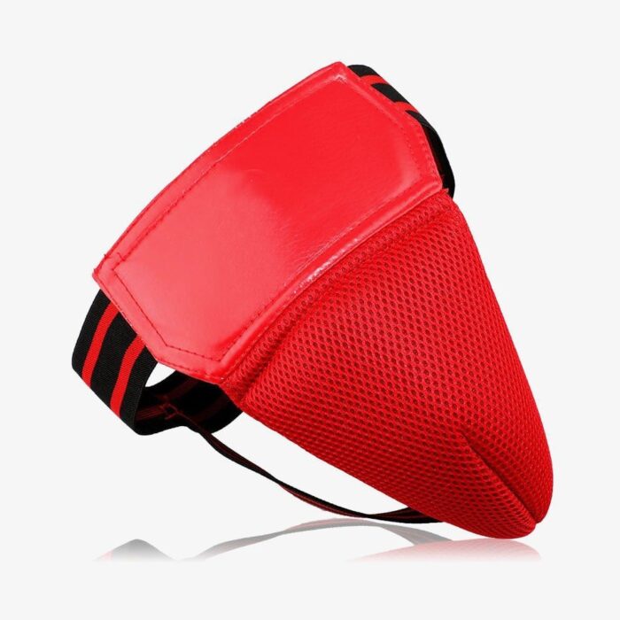 Groin / Abdominal Guard